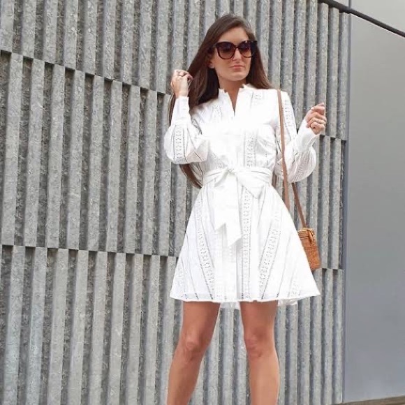 Zara Mini Embroidered Dress - Picture 10 of 10
